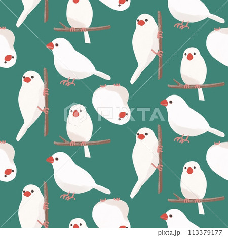 白文鳥のハーフドロップシームレスパターン 113379177