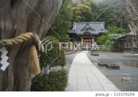 白濱神社　【静岡県下田市白浜】 113379209
