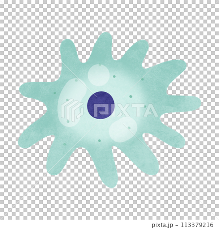 Dendritic cells Dendritic cells 113379216