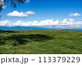 草原のある風景 牧草地 高原 高台 青い空 積乱雲 113379229