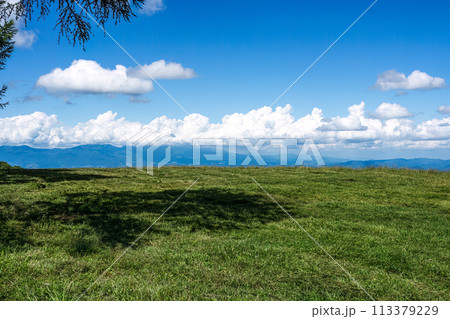草原のある風景 牧草地 高原 高台 青い空 積乱雲 草原のある風景 牧草地 高原 高台 青い空 積乱雲 113379229
