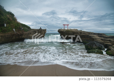 白濱神社(大明神岩と鳥居)　【静岡県下田市白浜】 113379268