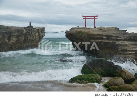 白濱神社(大明神岩と鳥居)　【静岡県下田市白浜】 113379269