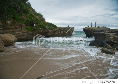 白濱神社(大明神岩と鳥居) 【静岡県下田市白浜】 白濱神社(大明神岩と鳥居) 【静岡県下田市白浜】 113379270