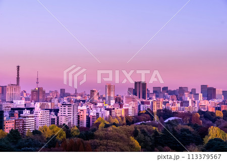 夕暮れの東京都心 夕暮れの東京都心 113379567