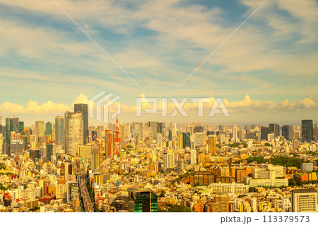 東京夕景 東京夕景 113379573