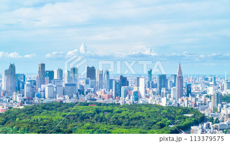 東京　新宿高層ビル群 113379575