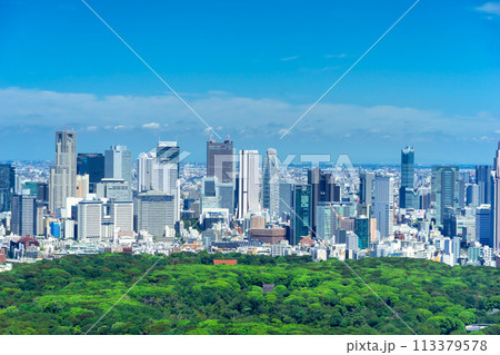 東京　新宿高層ビル群 113379578