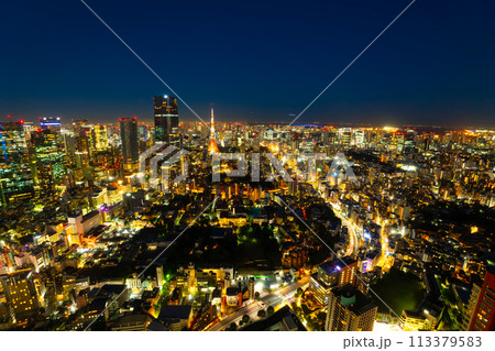 摩天楼 東京夜景 摩天楼 東京夜景 113379583