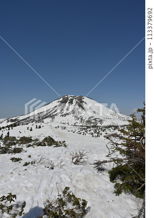 残雪の八甲田仙人岱からの大岳 113379692