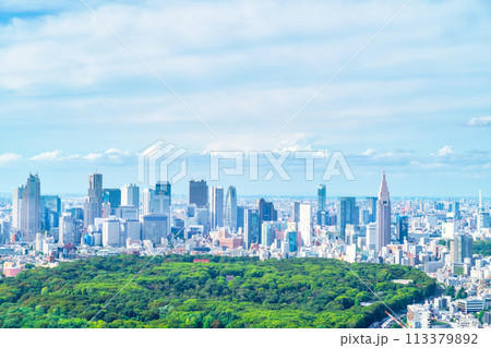 東京 新宿高層ビル群 東京 新宿高層ビル群 113379892