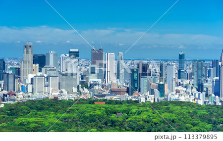 東京　新宿高層ビル群 113379895