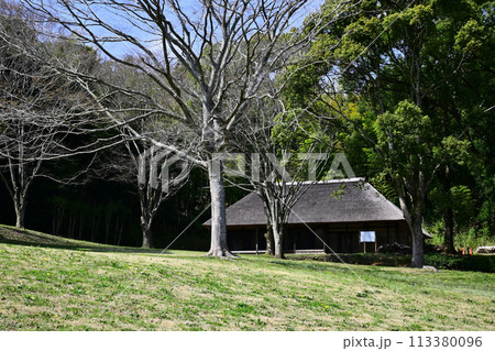 芝山公園 芝山公園 113380096