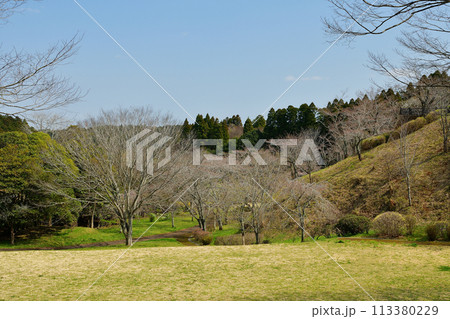 芝山公園 113380229