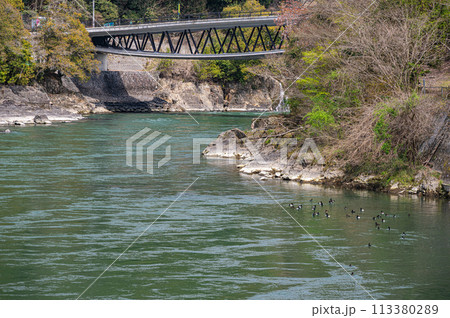宇治川に架かる道路橋　白虹橋　京都府宇治市 113380289