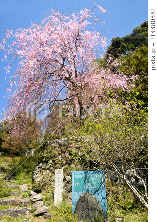 沓掛王子跡(熊野古道・鹿ヶ瀬峠越え)　【和歌山県日高郡日高町原谷】 113380381