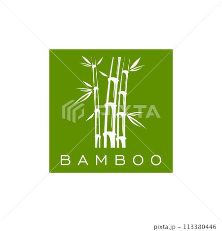 Bamboo icon, asian spa massage, health and beauty symbol. Beauty eco product nature symbol, spa and massage salon vector circle bamboo icon or plant green label. Organic packaging jungle forest emblem 113380446