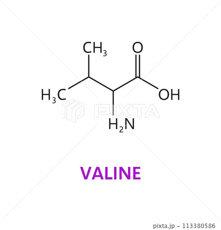 Valine, an essential amino acid, has a branched aliphatic side chain. Vector scientific scheme or molecular structure includes a central carbon atom bonded to hydrogen, methyl, and amino groups 113380586