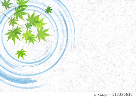 もみじ　葉　和柄　背景 113380630