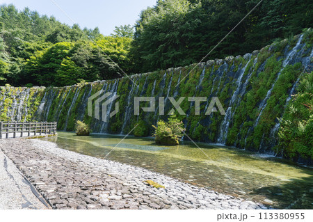 山梨県「花の都公園」の明神の滝 113380955