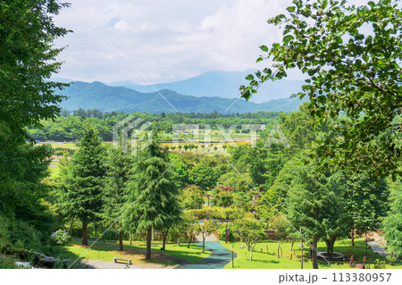 山梨県／高台から眺める緑豊かな「花の都公園」8月 113380957