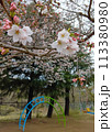 桜と遊具のある公園 113380980