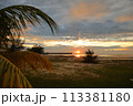 マレーシアの海に沈む夕日 113381180
