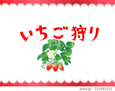 イチゴ狩り 113381252