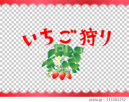 イチゴ狩り 113381252