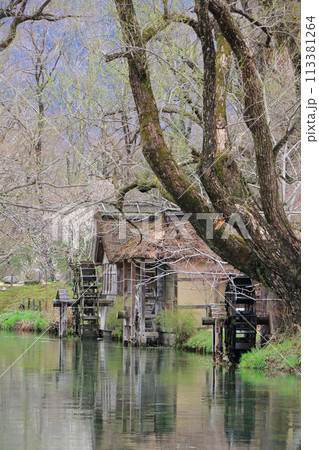 早春の安曇野　大王わさび農場の水車小屋 113381264