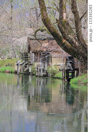 早春の安曇野 大王わさび農場の水車小屋 早春の安曇野 大王わさび農場の水車小屋 113381265