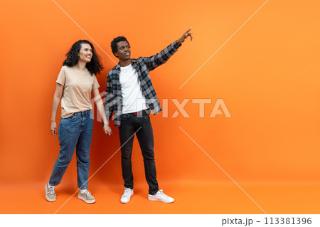 Young Couple In Casuals Pointing at Something Off Screen Young Couple In Casuals Pointing at Something Off Screen 113381396