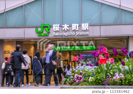 日本の横浜都市景観 春爛漫…桜木町駅などを望む。脱コロナ、希望の時代へ=4月8日 日本の横浜都市景観 春爛漫…桜木町駅などを望む。脱コロナ、希望の時代へ=4月8日 113381462