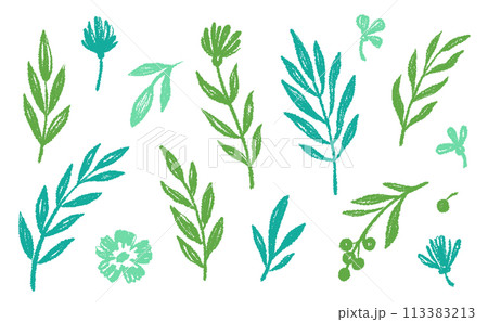 Leaf brush hand drawn ink elements. Green crayon texture brush abstract olive, flower, leaf abstract hand drawn illustration. Brush branch, botanical floral silhouette vector Leaf brush hand drawn ink elements. Green crayon texture brush abstract olive, flower, leaf abstract hand drawn illustration. Brush branch, botanical floral silhouette vector 113383213