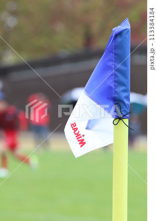 スポーツの旗 113384184