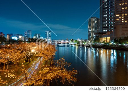 大川沿いで満開に咲く桜と大阪城方面の夜景を源八橋から撮影|毛馬桜之宮公園イメージ|大阪府大阪市 大川沿いで満開に咲く桜と大阪城方面の夜景を源八橋から撮影|毛馬桜之宮公園イメージ|大阪府大阪市 113384200
