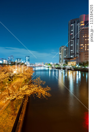 大川沿いで満開に咲く桜と大阪城方面の夜景を源八橋から撮影｜毛馬桜之宮公園イメージ｜大阪府大阪市 113384205