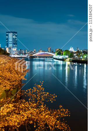 大川沿いで満開に咲く桜と大阪城方面の夜景を源八橋から撮影|毛馬桜之宮公園イメージ|大阪府大阪市 大川沿いで満開に咲く桜と大阪城方面の夜景を源八橋から撮影|毛馬桜之宮公園イメージ|大阪府大阪市 113384207