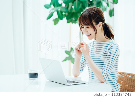 カフェでノートPCを使う女性。 カフェでノートPCを使う女性。 113384742