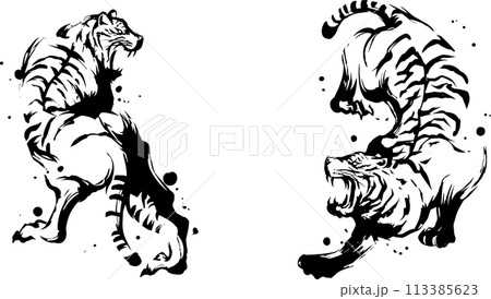 虎のイラスト素材 [113385623] - PIXTA