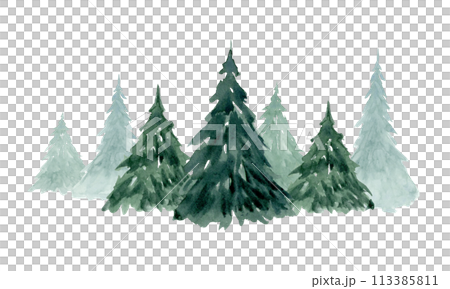 Christmas trees in spruce fir forest watercolor illustration isolated on white for winter holidays horizontal banner and landscape 113385811
