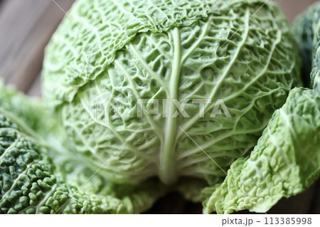 低農薬栽培のちりめんキャベツ 新鮮生野菜 低農薬栽培のちりめんキャベツ 新鮮生野菜 113385998