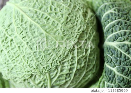 低農薬栽培のちりめんキャベツ　新鮮生野菜 113385999