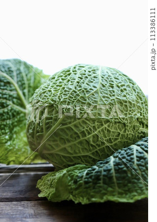 低農薬栽培のちりめんキャベツ 新鮮生野菜 低農薬栽培のちりめんキャベツ 新鮮生野菜 113386111