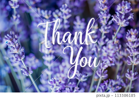 ありがとうございました‼ 5128ICR4NZL._AC_UL210_SR210,