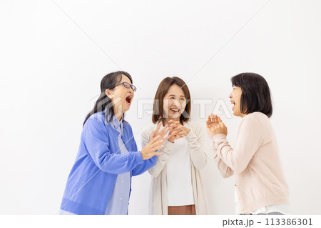 仲良し　女性　おしゃべり 113386301