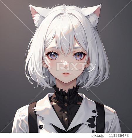 猫娘 113386478