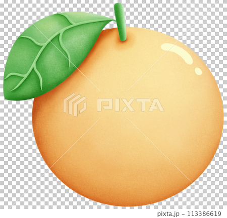 Citrus fruits that are high in vitamins Citrus fruits that are high in vitamins 113386619