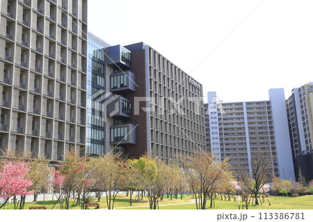 東京理科大学　葛飾キャンパス　「研究棟」 113386781