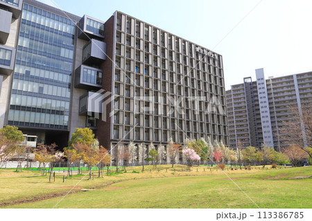 東京理科大学　葛飾キャンパス　「研究棟」 113386785